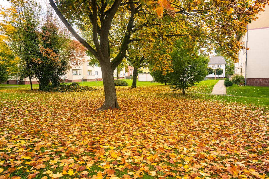 A city park with a large deciduous tree at the center, its branches sprawling outward and covered in autumn-colored leaves. The ground beneath the tree is blanketed with a thick layer of fallen yellow