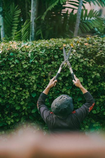A woman wearing a white t-shirt and a checked apron is using gardening shears to trim plants along a garden bed, with wet soil and lush green foliage visible. Next to her, a man in a checked shirt and